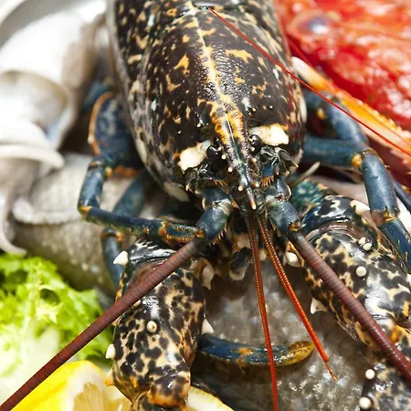 Nascar סנטה מריה נברזה