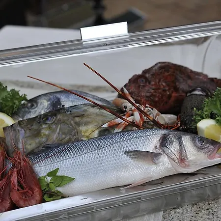 Nascar מלון סנטה מריה נברזה