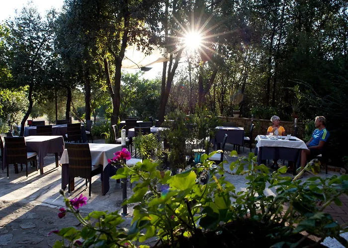 Отель Nascar 4*